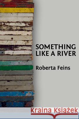Something Like a River Roberta Feins Lana Hechtman Ayers 9781936657117 Moonpath Press