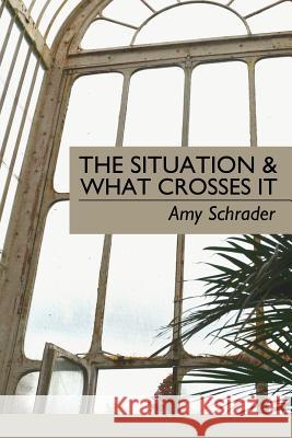 The Situation & What Crosses It Amy Schrader Lana Hechtman Ayers 9781936657124 Moonpath Press