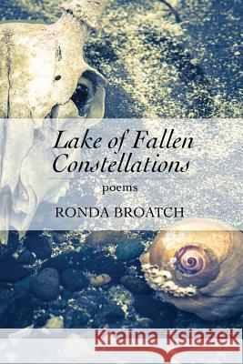 Lake of Fallen Constellations Ronda Broatch Lana Hechtman Ayers  9781936657162 Moonpath Press