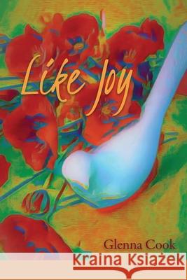 Like Joy Glenna Cook Lana Hechtman Ayers 9781936657889 Moonpath Press