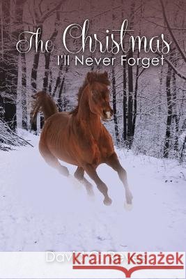 The Christmas I'll Never Forget David Reyes 9781936746279 Crosslink Publishing