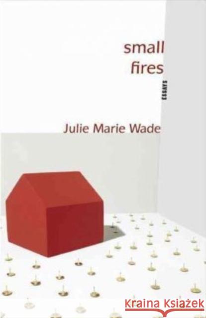 Small Fires Julie Marie Wade 9781936747023