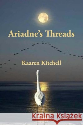 Who's Your Daddy Arisa White 9781936767618