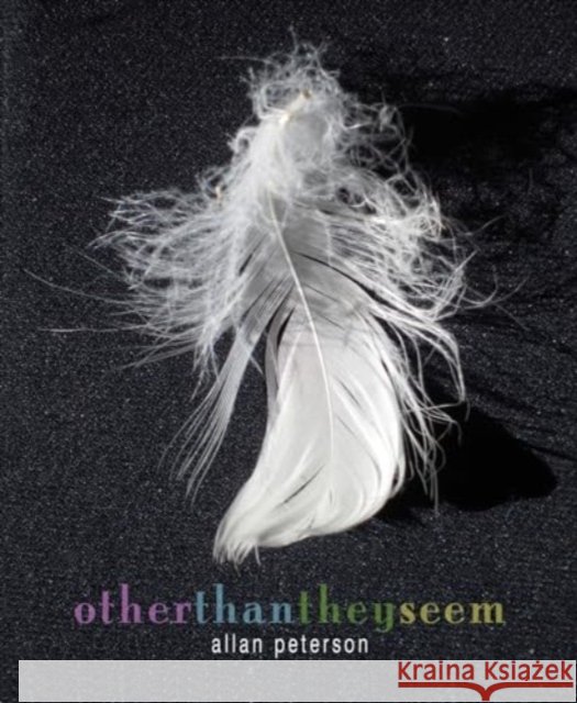 Other Than They Seem Allan Peterson 9781936797844 Tupelo Press