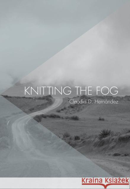 Knitting the Fog  9781936932542 Feminist Press