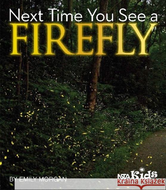 Next Time You See a Firefly Emily R Morgan   9781936959181