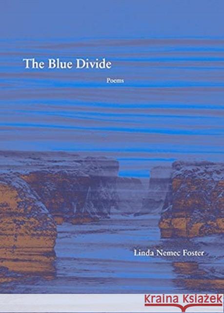 The Blue Divide: Poems Foster, Linda Nemec 9781936970728