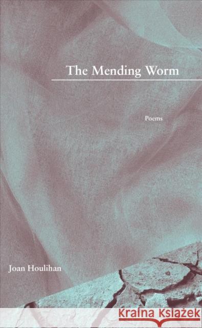 The Mending Worm Joan Houlihan 9781936970735