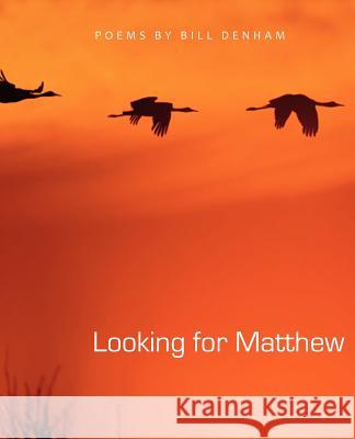 Looking for Matthew Bill Denham 9781937002695 Apocryphile Press