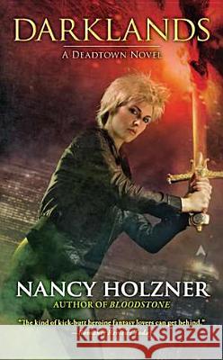 Darklands Nancy Holzner 9781937007706