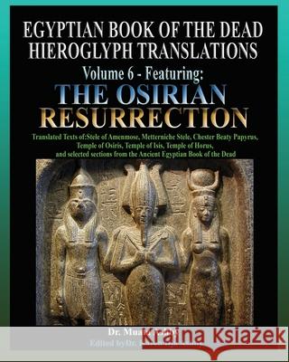 Egyptian Book of the Dead Hieroglyph Translations Volume 6 Featuring The Osirian Resurrection Muata Ashby 9781937016647 Sema Institute