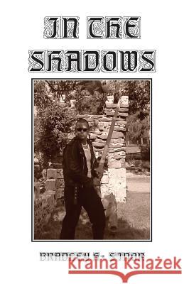 In the Shadows Bradley H. Sinor 9781937105884