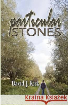 Particular Stones David J. Kirk 9781937273064 Martin Sisters Publishing