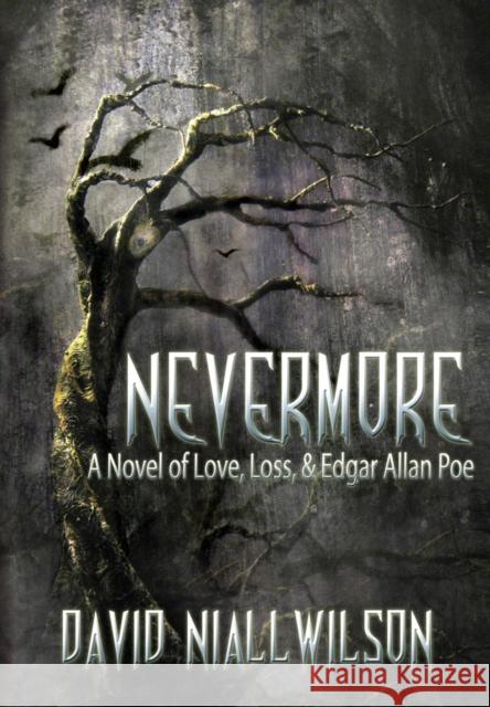 Nevermore David Niall Wilson 9781937530341