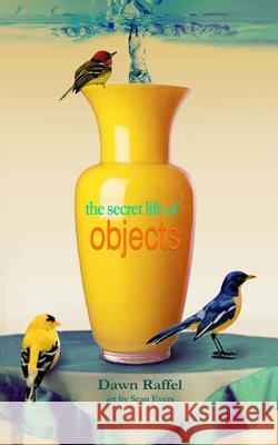 The Secret Life of Objects Dawn Raffel Sean Evers 9781937543037 Jaded Ibis Press