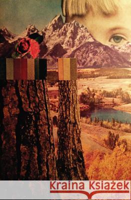 Careful Mountain Sara June Woods 9781937865658