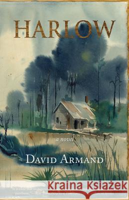 Harlow David Armand 9781937875435 Texas Review Press
