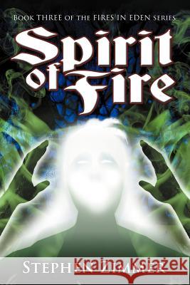 Spirit of Fire Stephen Zimmer Karen M. Leet Matthew Perry 9781937929855