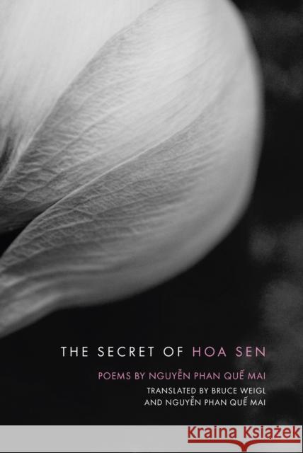 The Secret of Hoa Sen Nguyen Phan Qu Phan Quaae Mai Nguyaaen Bruce Weigl 9781938160523 BOA Editions