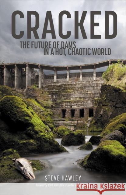 Cracked: The Future of Dams in a Hot, Crazy World Steven Hawley 9781938340772