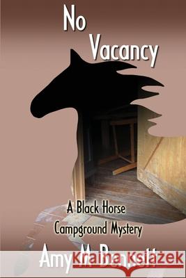 No Vacancy Amy M. Bennett 9781938436628 Aakenbaaken & Kent