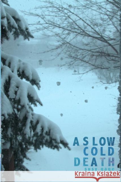 A Slow Cold Death Susy Gage 9781938463372 Bitingduck Press