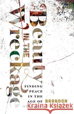 Beauty in the Wreckage: Finding Peace in the Age of Outrage Brandon Andress Kurt Willems 9781938480362 Quoir