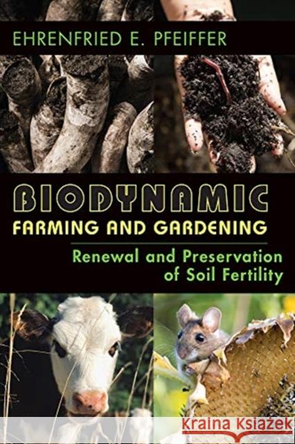 Biodynamic Farming and Gardening: Renewal and Preservation of Soil Fertility Ehrenfried E. Pfeiffer 9781938685293 Portal Books
