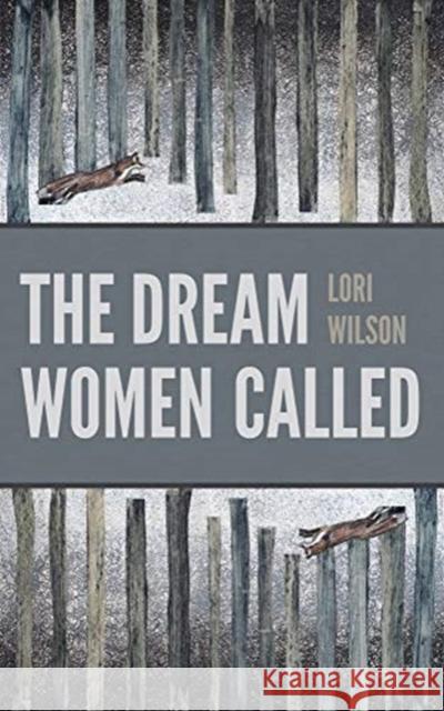 The Dream Women Called Lori Wilson 9781938769740 Autumn House Press