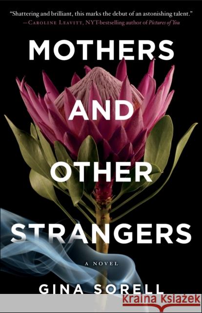 Mothers and Other Strangers Gina Sorell 9781938849893
