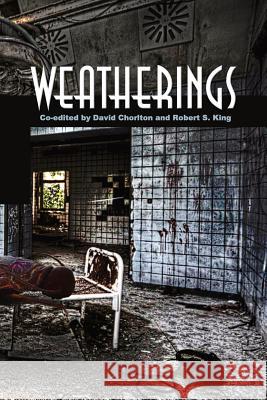 Weatherings Multiple Authors David Chorlton Robert S. King 9781938853401 Futurecycle Press