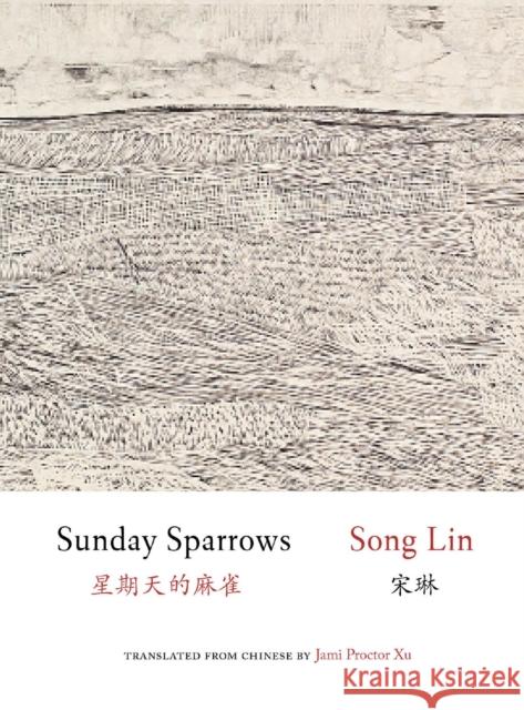 Sunday Sparrows  9781938890253 Zephyr Press