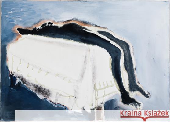 Marlene Dumas: The Image as Burden Leontine Coelewij Kerryn Greenberg Helen Sainsbury 9781938922541