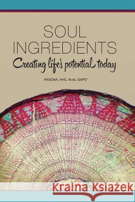 Soul Ingredients: Creating Life's Potential Today Papadopoulos, Pagona 9781939166173