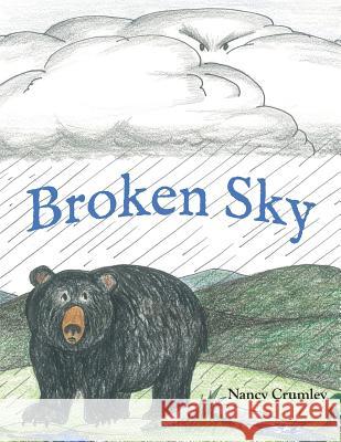Broken Sky Nancy Crumley Nancy Crumley  9781939289629 Little Creek Books