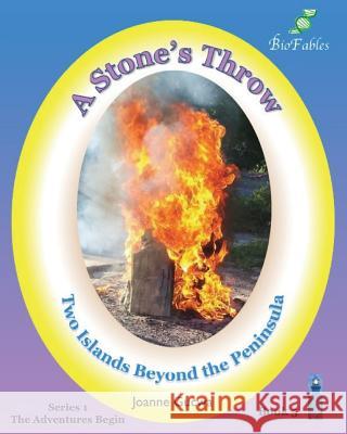 A Stone's Throw: Two Islands Beyond the Peninsula MS Joanne F. Gucwa 9781939722089 Technology Management Associates, Inc.
