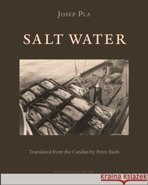 Salt Water Josep Pla Peter Bush 9781939810724