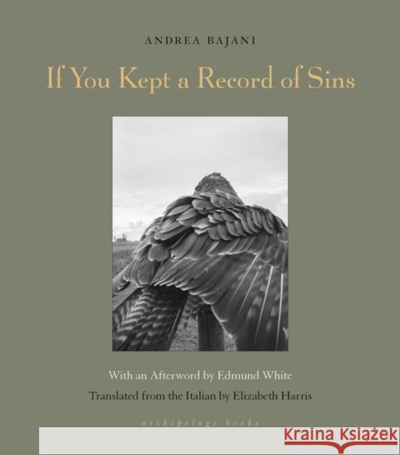 If You Kept a Record of Sins Andrea Bajani Elizabeth Harris Edmund White 9781939810960 Archipelago Books