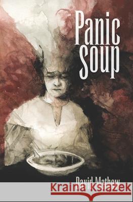 Panic Soup David Mathew 9781940233635