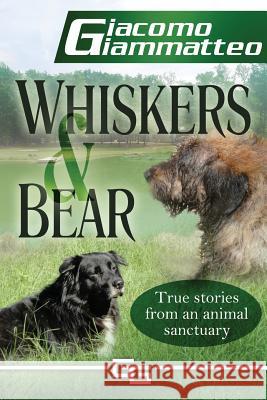 Whiskers and Bear: Life on the Farm, Book I Giacomo Giammatteo 9781940313382 Inferno Publishing Company