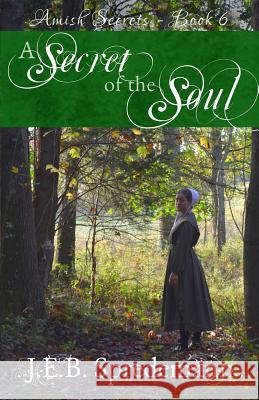 A Secret of the Soul (Amish Secrets - Book 6) J. E. B. Spredemann 9781940492308 Blessed Publishing