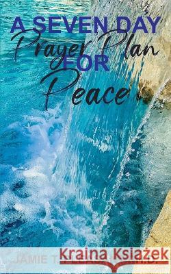 A Seven Day Prayer Plan For Peace Jamie T. Pleasant 9781940698199