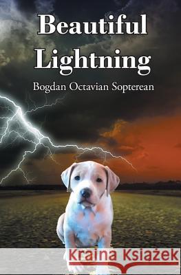 Beautiful Lightning Bogdan Octavian Sopterean 9781941049693 Joshua Tree Publishing