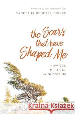 The Scars That Have Shaped Me: How God Meets Us in Suffering Vaneetha Rendall Risner 9781941114292 Desiring God