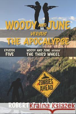Woody and June versus the Third Wheel Robert J. McCarter 9781941153178 Little Hummingbird Publishing