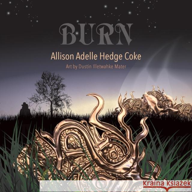 Burn Allison Adelle Hedg Dustin Illetewahke Mater 9781941196458 Madhat, Inc.