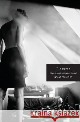 Fissures: One Hundred 100-Word Stories Grant Faulkner 9781941209202