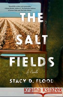 The Salt Fields: A Novella Stacy D. Flood 9781941360491 Lanternfish Press