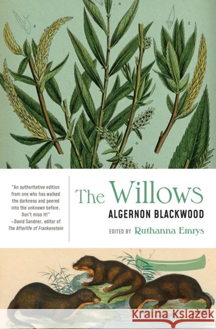 The Willows Algernon Blackwood Ruthanna Emrys 9781941360835 Lanternfish Press