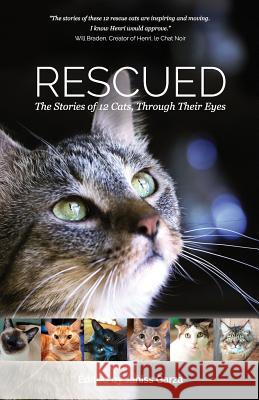 Rescued: The Stories of 12 Cats, Through Their Eyes Catherine Holm Liz Mugavero Janiss Garza 9781941433003 Fitcat Enterprises, Inc.